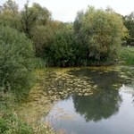 Deszczówka z dachu szkoły pomogła odbudować staw
