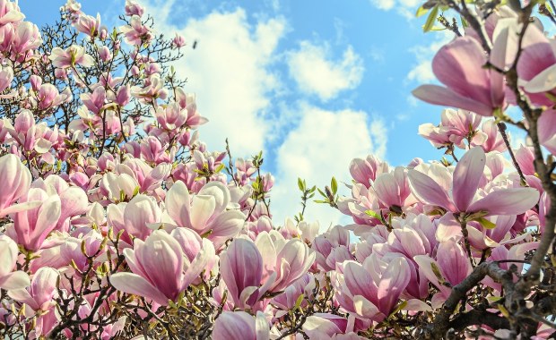 Deszczowo i zimno, ale od piątku coraz cieplej. W weekend nawet 29 stopni! 