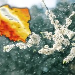 ocieplenie Deszczowo w ciepłej strefie. We wtorek wiosna w mokrej wersji
