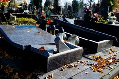 Dewastacja cmentarza w Łodzi