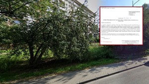 Deweloper wyciął drzewa, żeby zbudować parking. Kłótnia na Bielanach