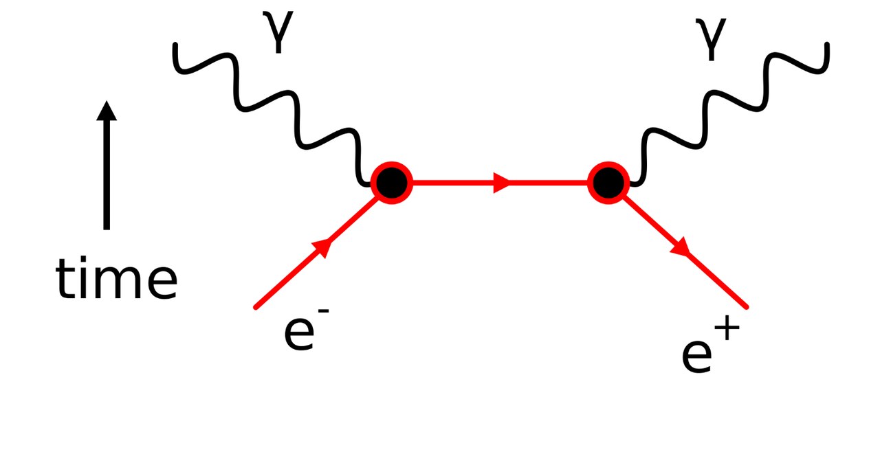 Diagram Feynmana ukazujący anihilację elektronu/pozytonu /materiały prasowe