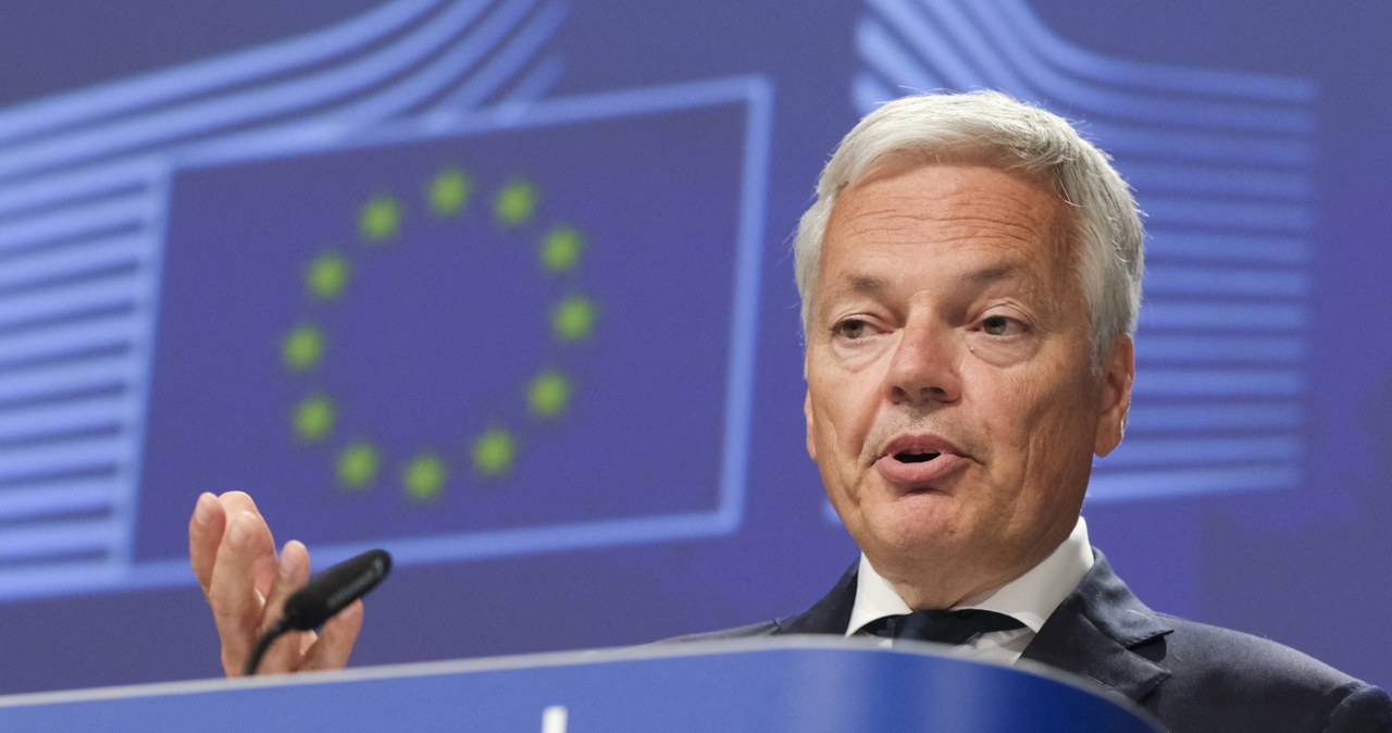 Didier Reynders, Komisarz UE ds. sprawiedliwości podczas konferencji dot. bezpieczeństwa danych /AFP