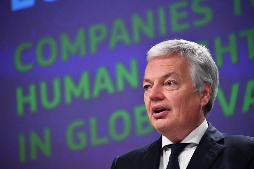 Didier Reynders, komisarz UE ds. sprawiedliwości /AFP