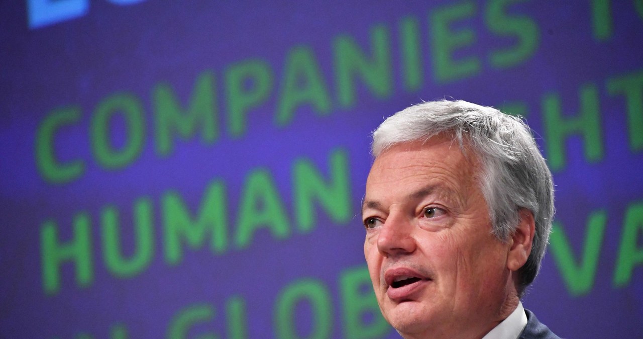 Didier Reynders, komisarz UE ds. sprawiedliwości /AFP