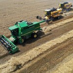 "Die Welt": Zboże z Ukrainy problemem dla polskich rolników