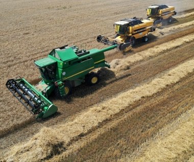 "Die Welt": Zboże z Ukrainy problemem dla polskich rolników