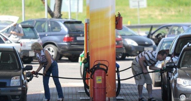 Diesel czy benzyna? A może LPG? /AFP