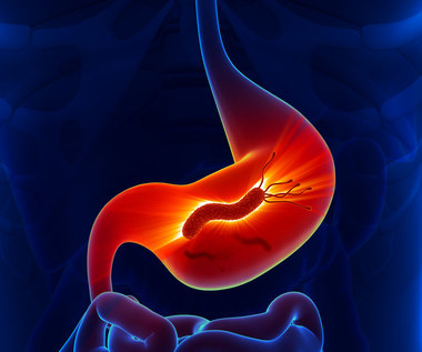 Dieta przy zakażeniu bakterią Helicobacter pylori