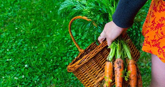 dieta wegetariańska /© Photogenica