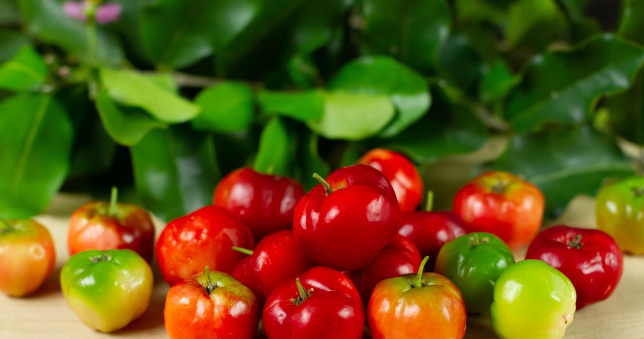 Дієтологи називають сік ацероли еліксиром здоров’я, молодості, фізичної сили та краси /pixabay.com