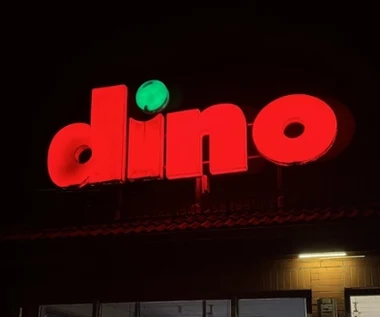 Dino ruszyło z nowym sklepem. Nie ma w nim żadnego jedzenia