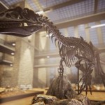 Dinosaur Fossil Hunter: Ponad trzykrotny wzrost przychodów Pyramid Games