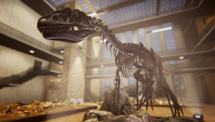Dinosaur Fossil Hunter /materiały prasowe