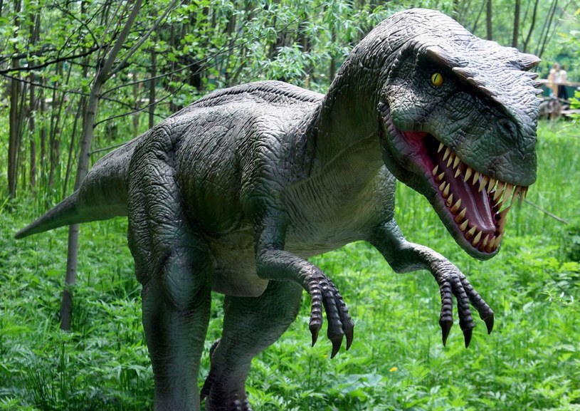 Dinozatorland to największy w Polsce park jurajski z dinozaurami /Artur Barbarowski /Agencja SE/East News