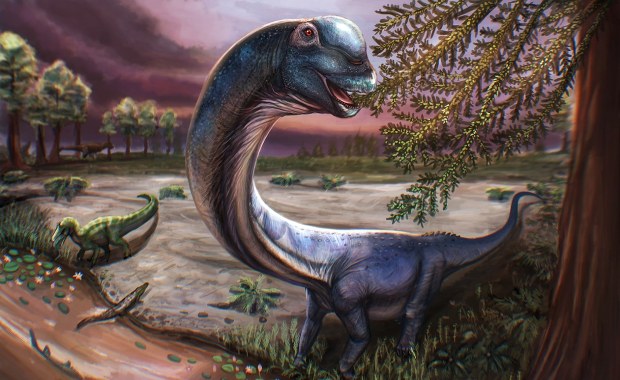 Dinozaur jak 9 słoni. Sensacyjne odkrycie w Tajlandii