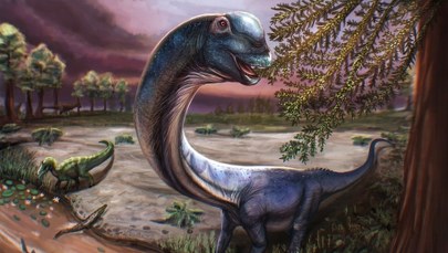 Dinozaur jak 9 słoni. Sensacyjne odkrycie w Tajlandii