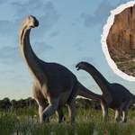 Dinozaur znaleziony w Argentynie kompletnie zaskoczył naukowców