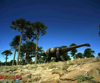 "Dinozaury 3D. Giganty Patagonii"