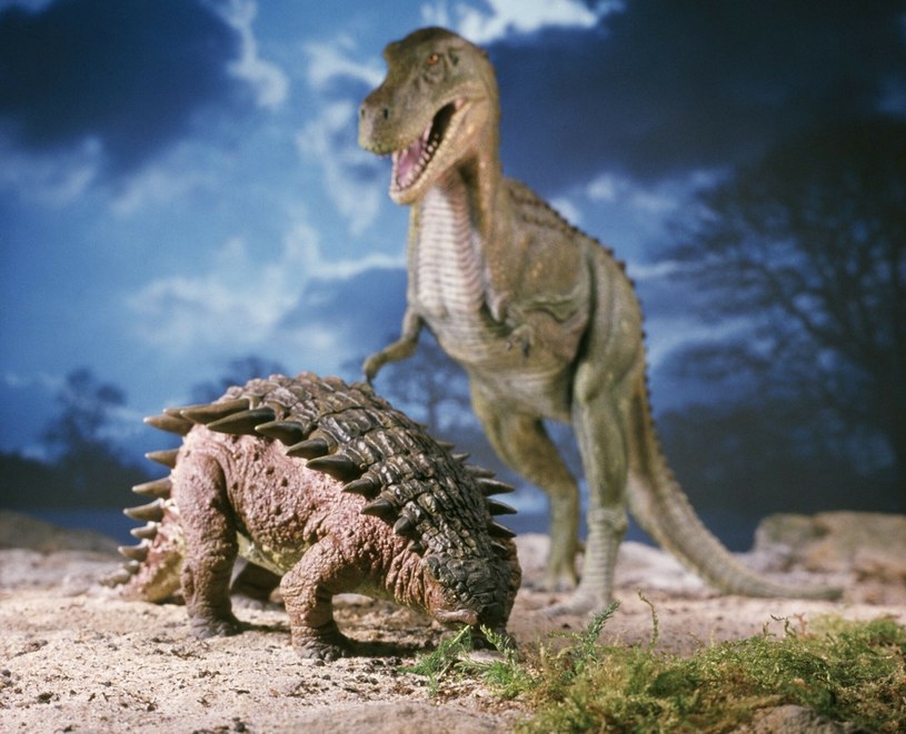 Dinozaury były bardzo inteligentne. Naukowcy mocno zaskoczeni!
