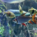 Dinozaury i spacer wśród zwierząt, czyli pomysły na weekend z dzieckiem 