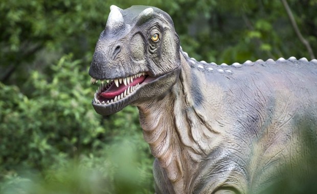 Dinozaury wyginęły przez... sadzę. To najnowsze odkrycie japońskich naukowców