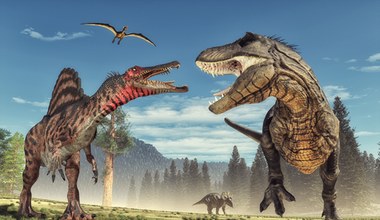 Dinozaury wymierały już przed uderzeniem asteroidy! Tak mówią nowe badania