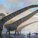 Dinozaury żyły w wielogatunkowych stadach? Są pierwsze dowody