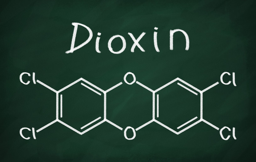 Dioksyny to silnie toksyczne związki chemiczne /123RF/PICSEL