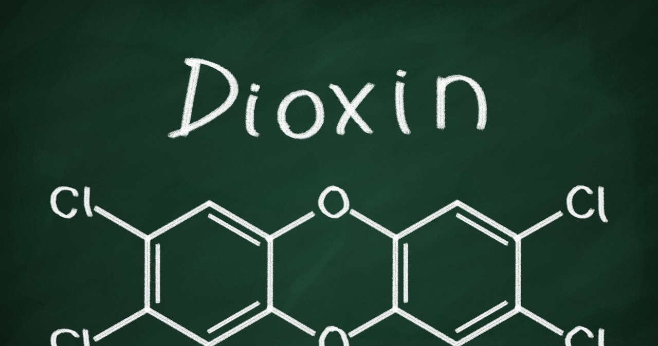 Dioksyny to silnie toksyczne związki chemiczne /123RF/PICSEL