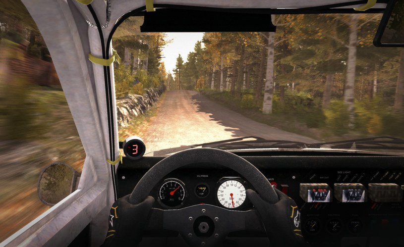 Dirt Rally /materiały prasowe