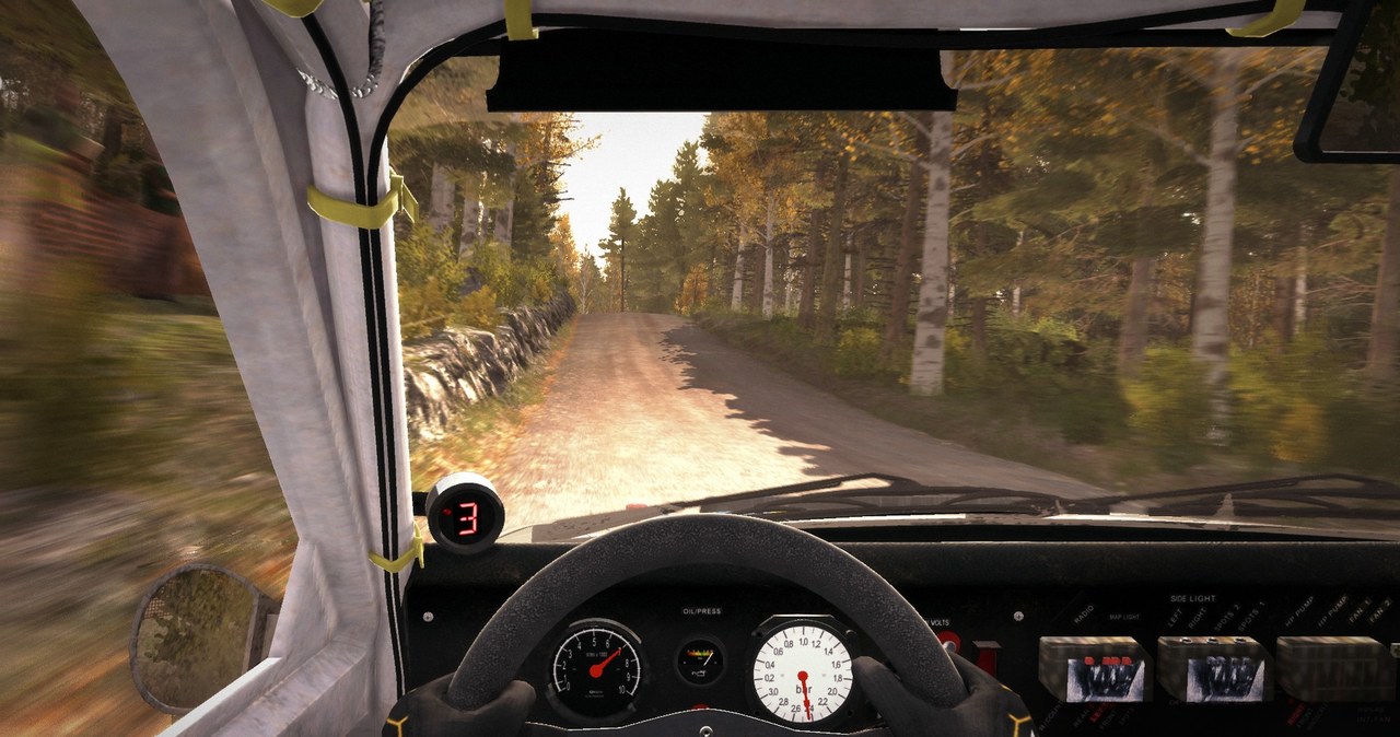 Dirt Rally /materiały prasowe