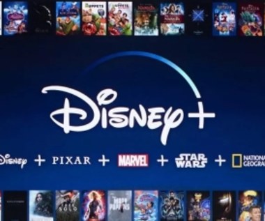 Disney idzie w ślady Netfliksa. Koniec współdzielenia kont?