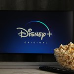 Disney Plus i dzielenie konta. Czy rodzinie i znajomym można dać hasło?