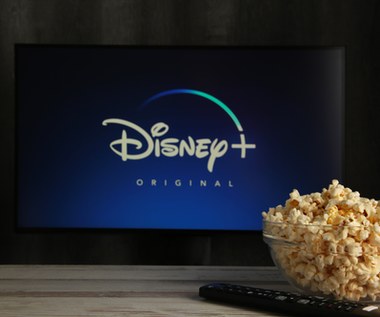 Disney Plus i dzielenie konta. Czy rodzinie i znajomym można dać hasło?