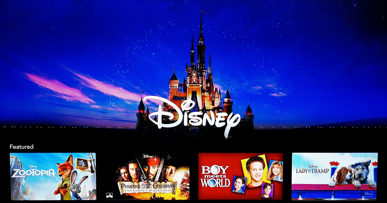 Disney+ w szybkim tempie zyskuje popularność /INTERIA.PL