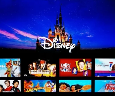Disney zapowiada nowe premiery. „Avatar 2”, „Indiana Jones 5” i co dalej?