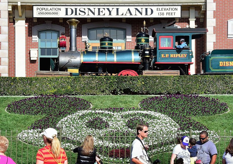 Disneyland w Anaheim / FREDERIC J. BROWN/fjb/ljm /AFP