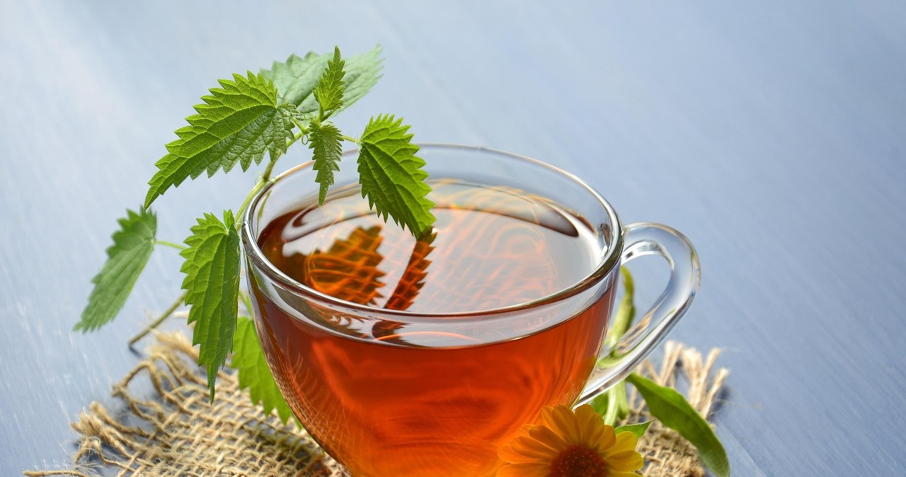 Дізнайтеся секрет грецього довголіття. Це смачний трав'яний чай /pixabay.com