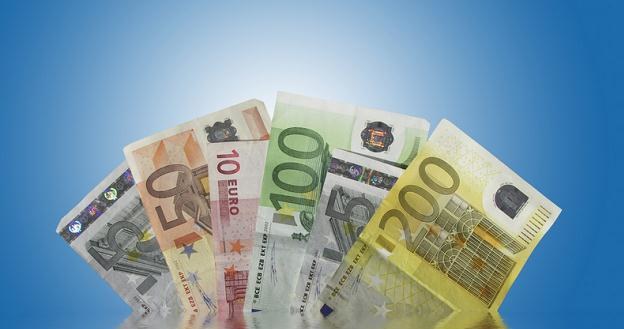 Dla banków przyjęcie euro jest jednak katastrofą /&copy; Panthermedia