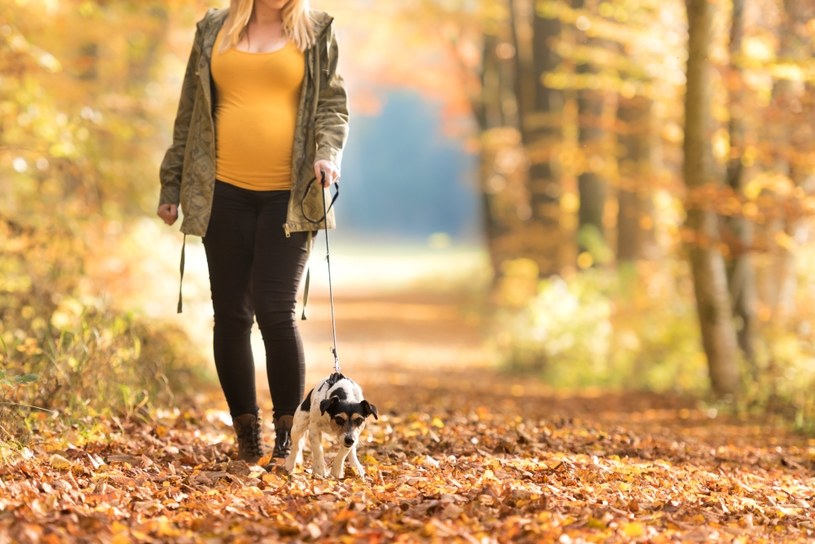 Dla kobiet w ciąży spacer z psem to świetna propozycja, na zapewnienie ruchu w tym okresie /123RF/PICSEL