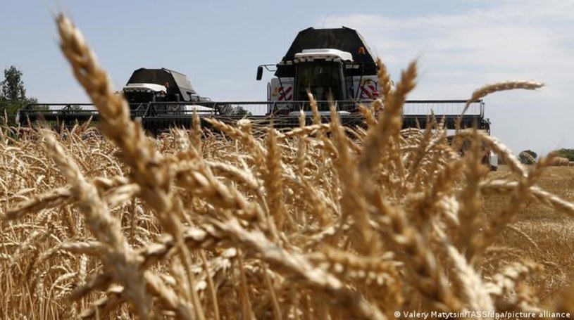 Dla krajów ubogich i rozwijających się rosnące ceny żywności oznaczają jedno - głód /Deutsche Welle