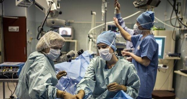 Dla transplantologów każdy organ jest na wagę złota /AFP