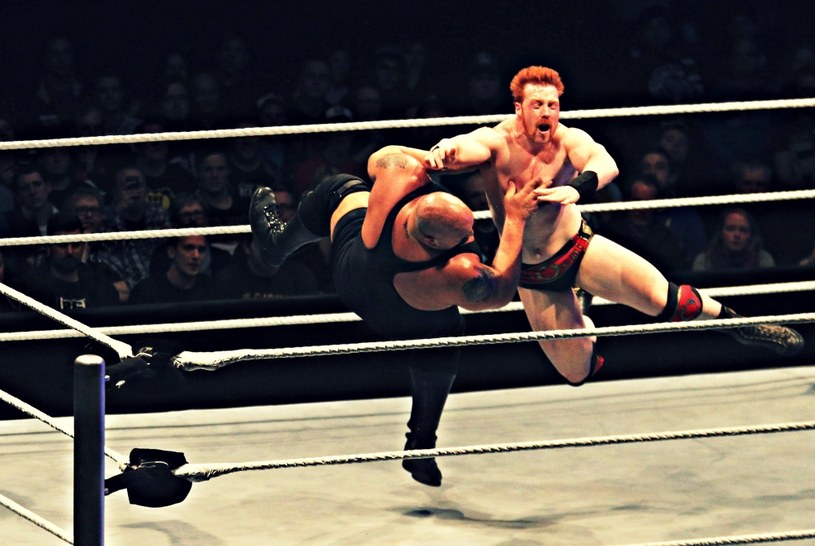 Dla wielu wrestling nie jest nawet sportem. Czy może być uznawany za sztukę? /Getty Images/Flash Press Media