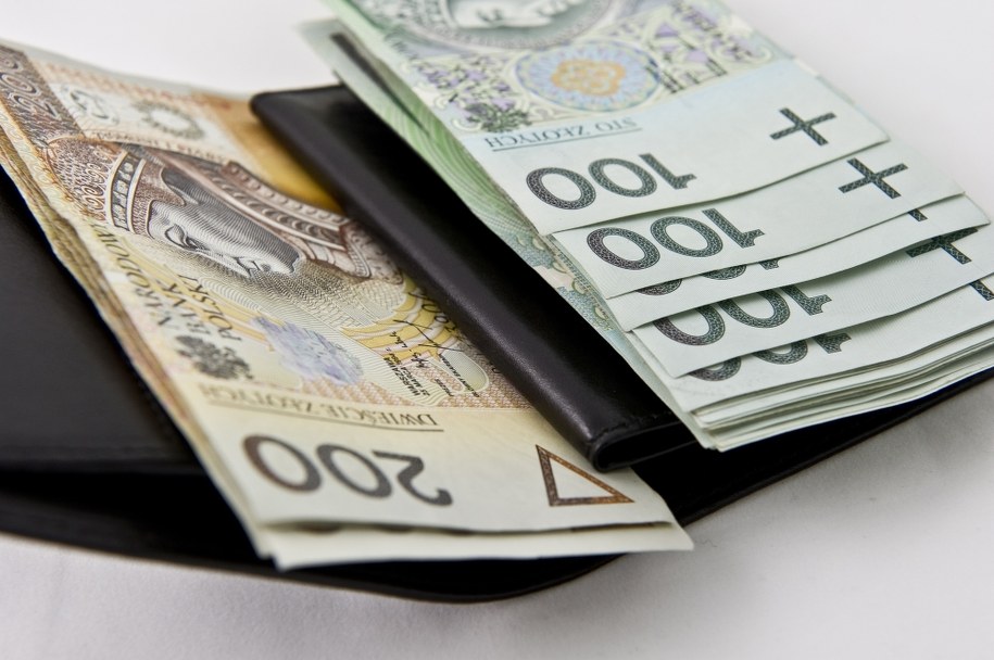 Dla wielu zagranicznych przedsiębiorstw złoty jest atutem polskiej gospodarki /Wojciech Pacewicz /PAP