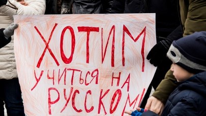 Dla "zdrajców" kraju - odebranie obywatelstwa