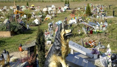 Dla zwierząt stworzono specjalne cmentarze. Wiemy, ile kosztuje grób dla pupila