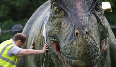 Dlaczego było tak niewiele małych dinozaurów? Znaleźli winowajców