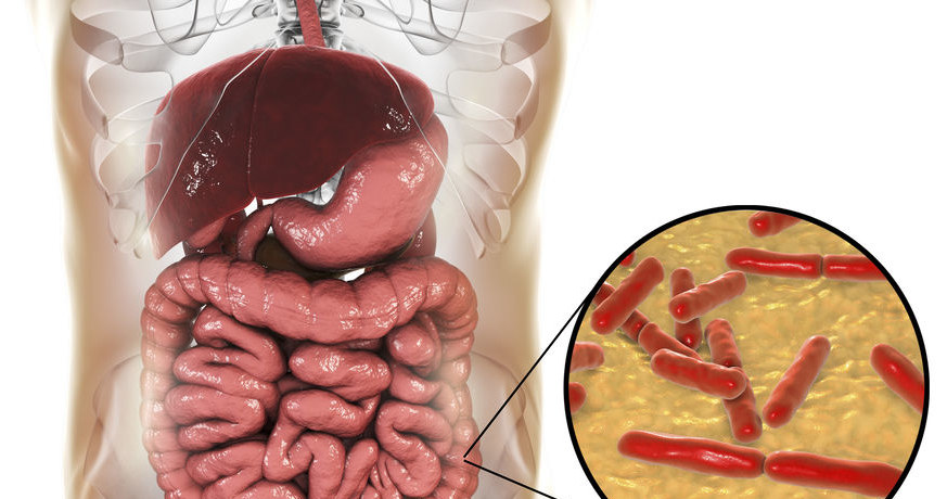 Dlaczego flora bakteryjna jelit jest tak ważna? /&copy;123RF/PICSEL