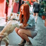 Dlaczego głaszczemy psy na ulicy? Psychologia mówi jasno 